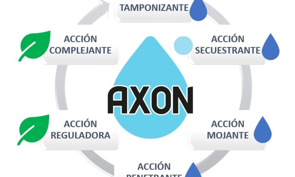 como funciona AXON