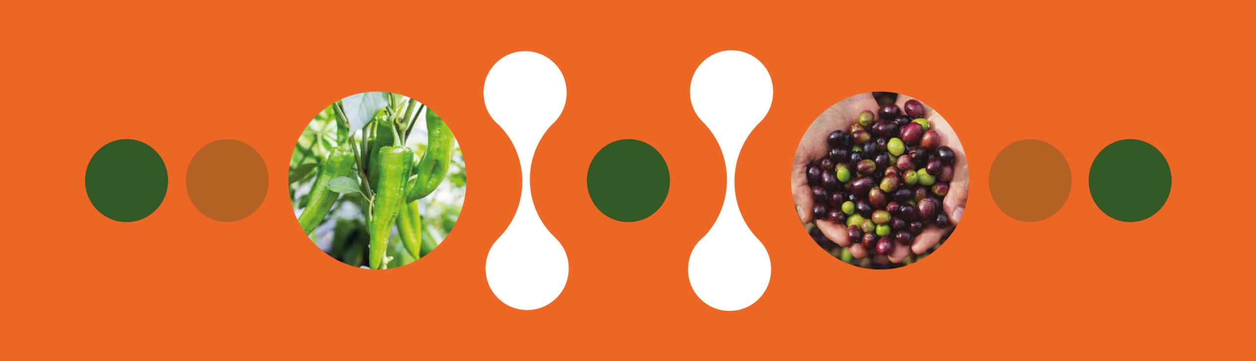 Immobilised nutrients