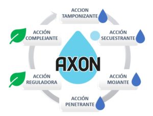 como funciona AXON