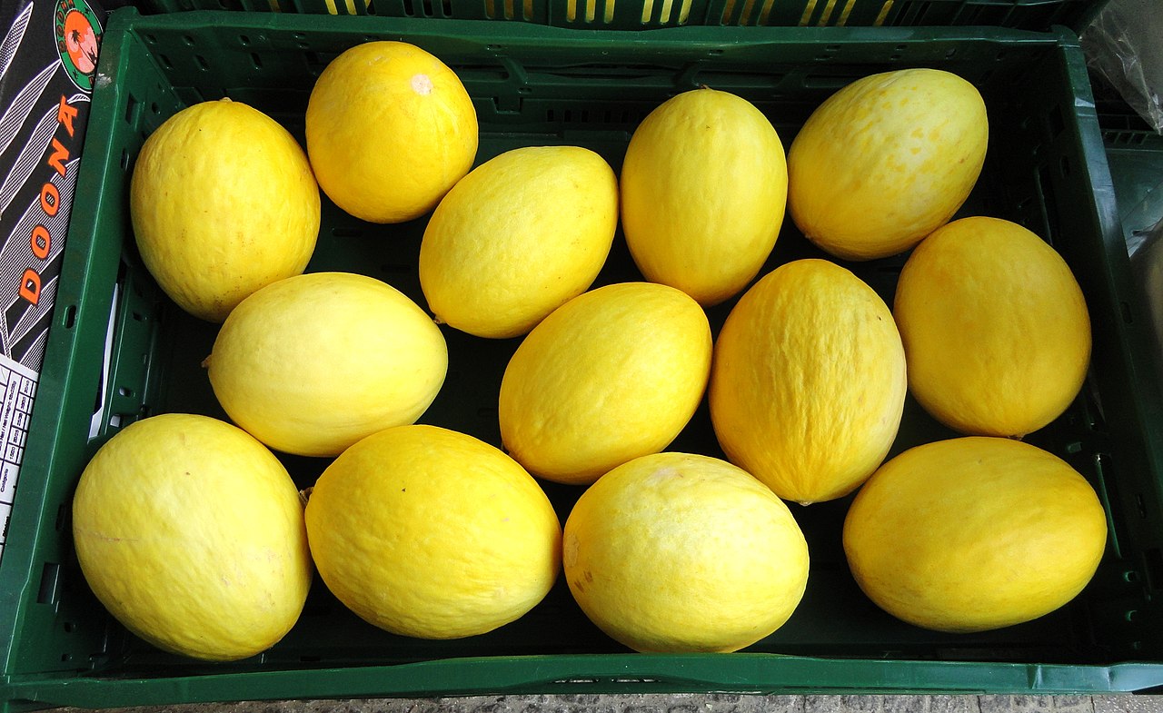 melones amarillos
