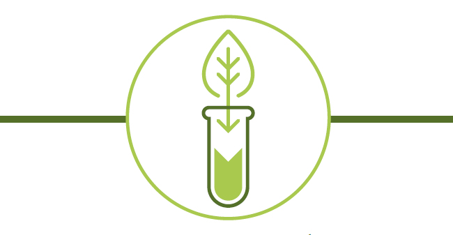 Con extratos Botánicos