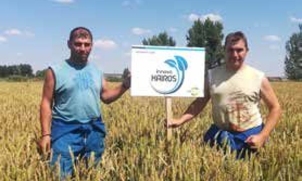 Hermanos Rivera, usuarios de Kairos