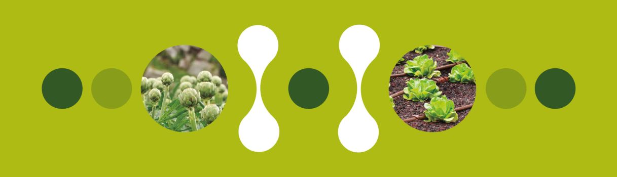 Header Acondicionadores