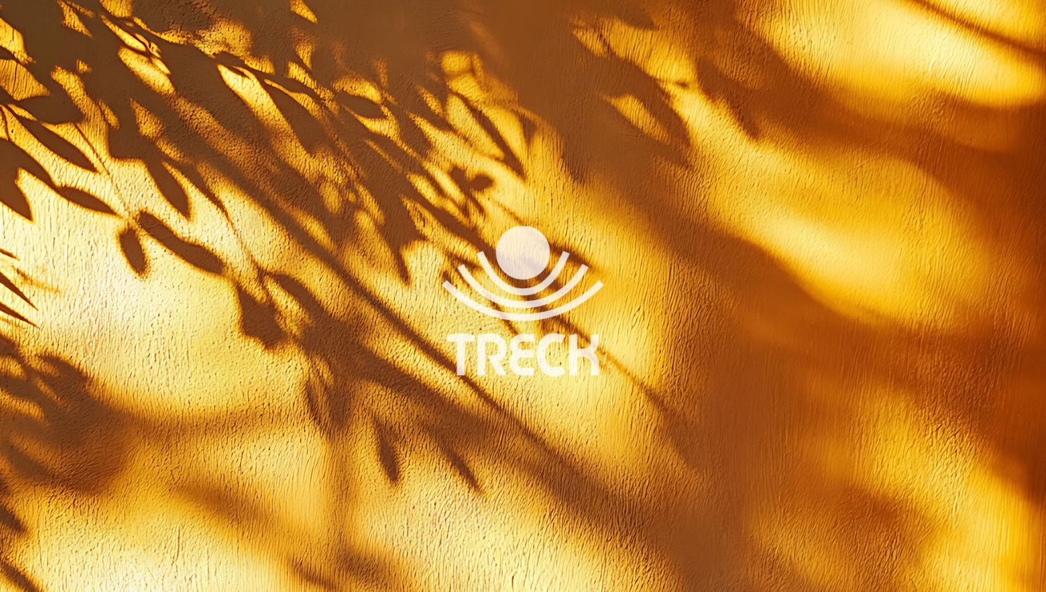 <p>Todos los vegetales están expuestos a la luz solar, la radiación solar es energía emitida por el Sol en forma de ondas electromagnéticas, con un espectro que abarca desde rayos ultravioleta (UV) hasta infrarrojos (IR). Solo el 40-45% de esta radiación alcanza la superficie terrestre como luz visible (400-700 nm), crucial para la vida vegetal, [&hellip;]</p>