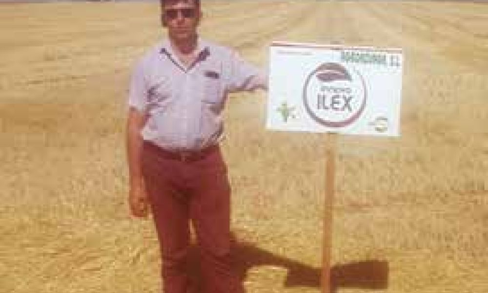 Raul Rodríguez, usuario de ILEX