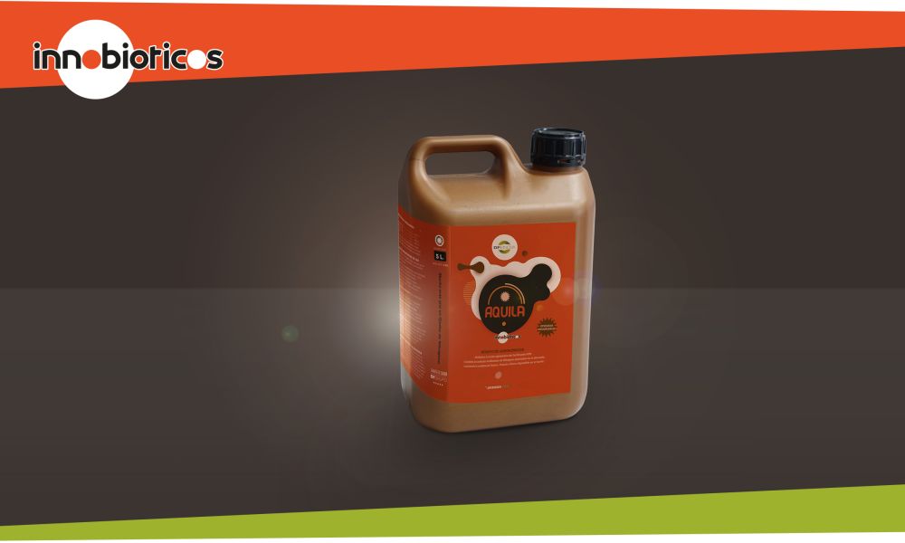 Innobioticos, rentabilidad viva