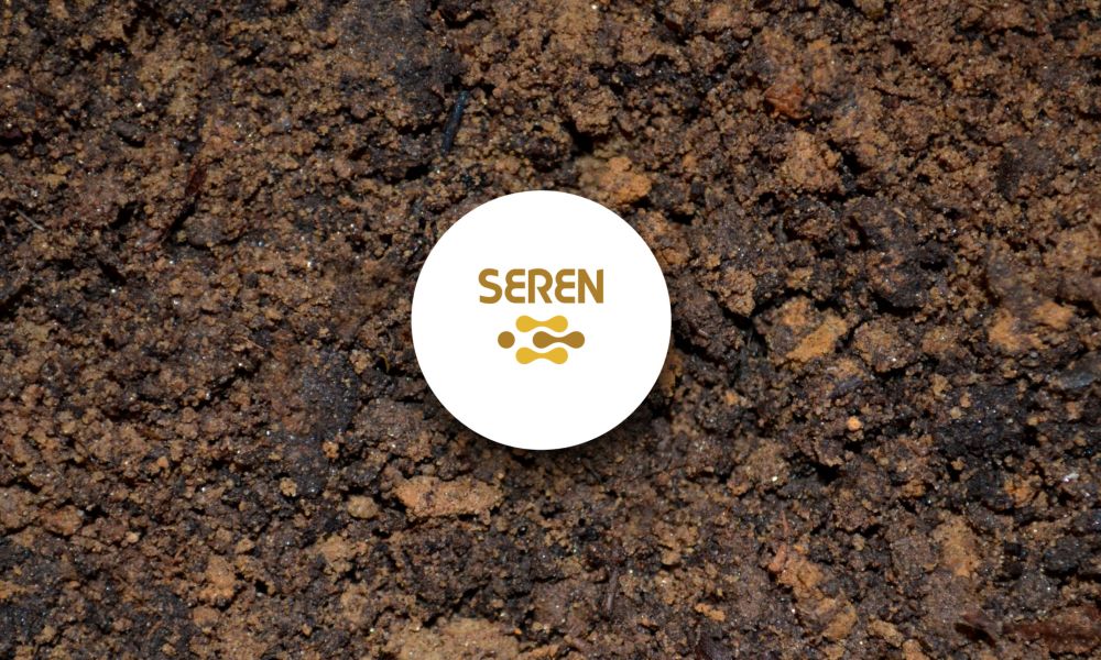 Solución para los suelos salinos