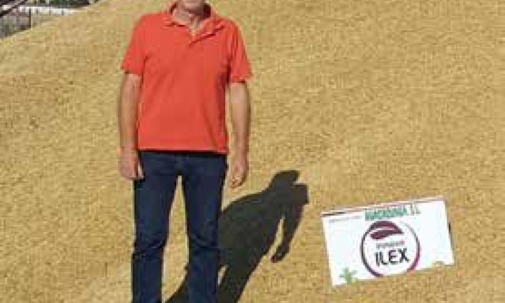 Manuel Herrezuelo, usuario de ILEX