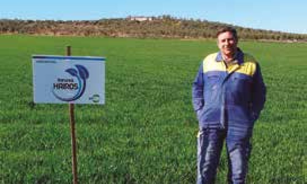 Francisco Mendoza, usuario de Kairos