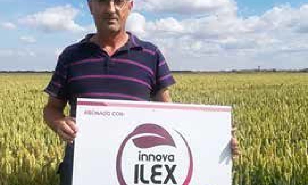 Marcos Martínez, usuario de ILEX y KAIROS