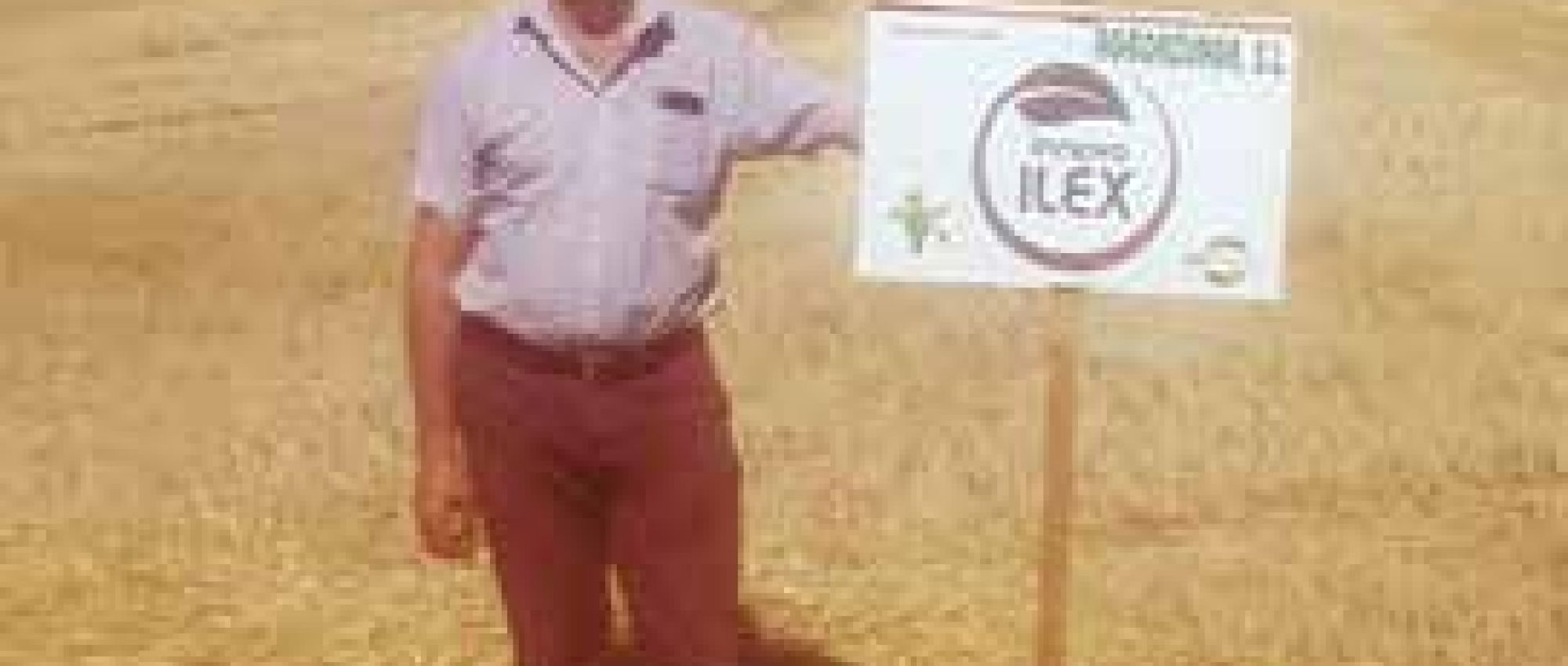 Raul Rodríguez, usuario de ILEX