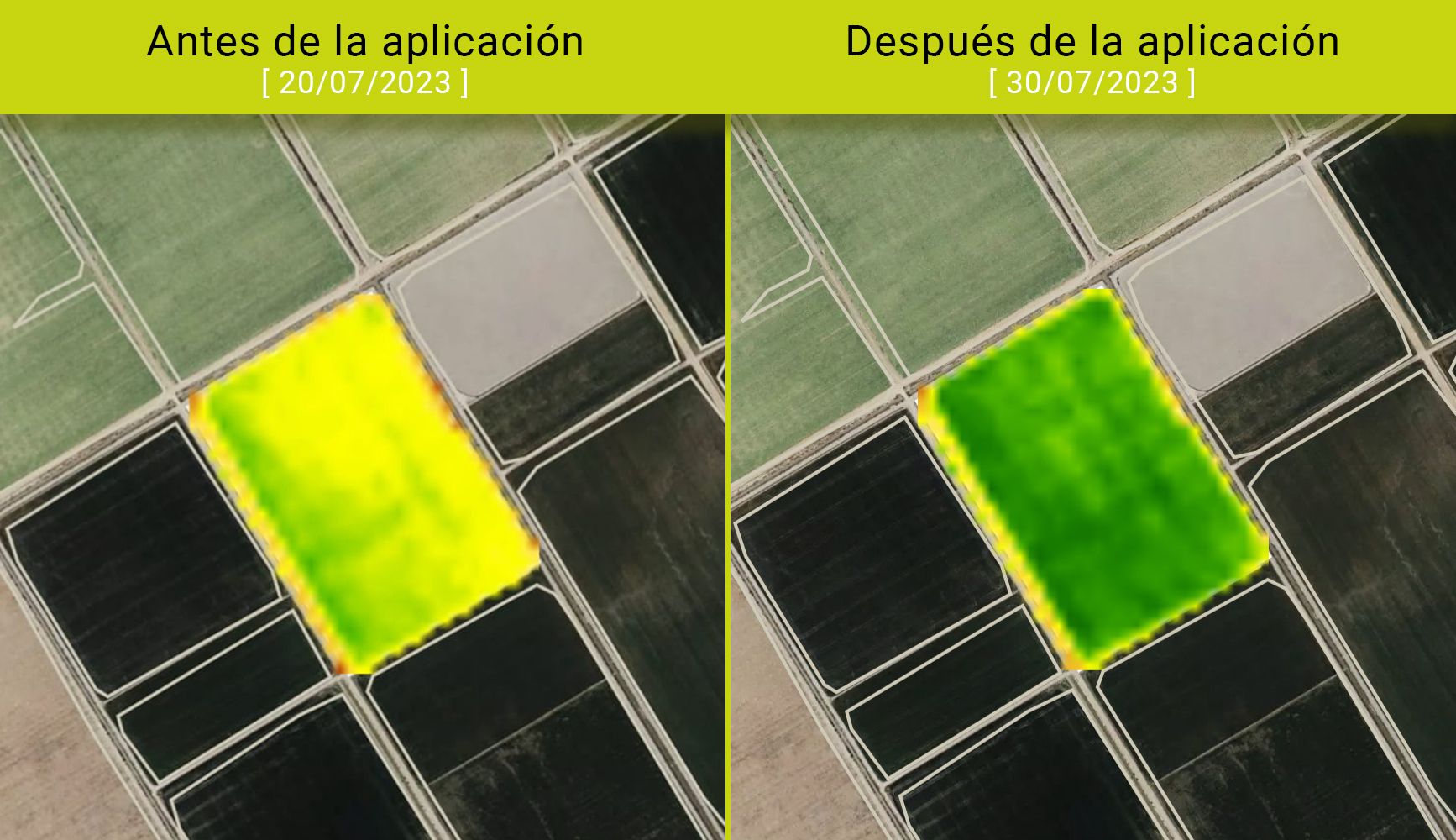 Antes - después E-XTRES